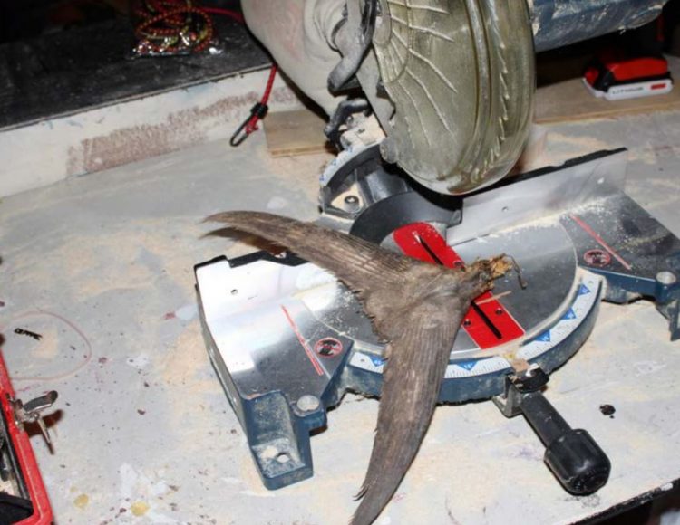 Once the tail is dry, cut off the end with a miter box to form a flat base.