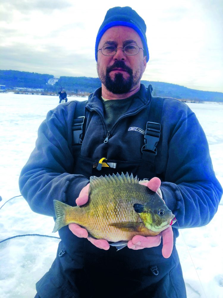 This pumpkinseed (panfish) couldn't resist a hand-tied bloodworm hair jig.