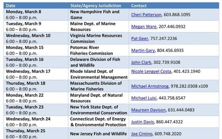 The Atlantic coastal states of Maine through Virginia have scheduled their virtual hearings to gather public input on the Atlantic Striped Bass Draft Amendment 7.