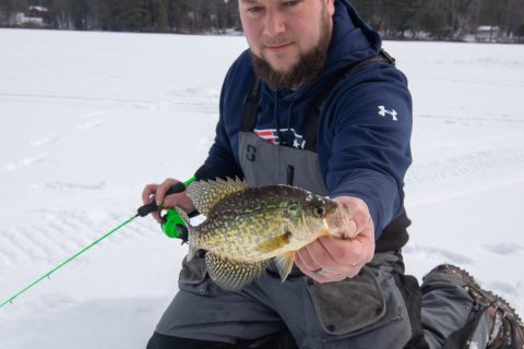 All panfish, bluegill, crappie, perch, and pumpkinseed can be caught using hair jigs.