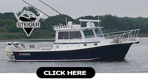 steiger