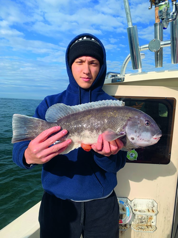 Tautog boat fishing