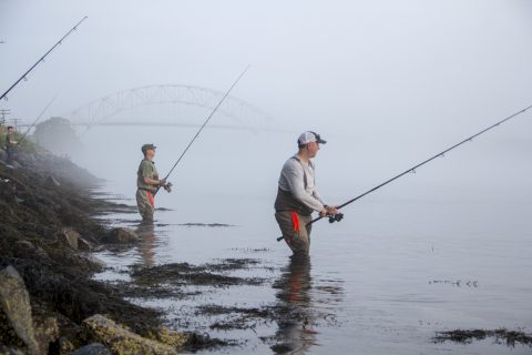 Cape Cod Canal Fishing