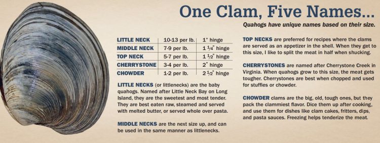 Clam Chart