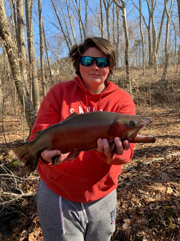 Photo Credit: Evan Kamoen