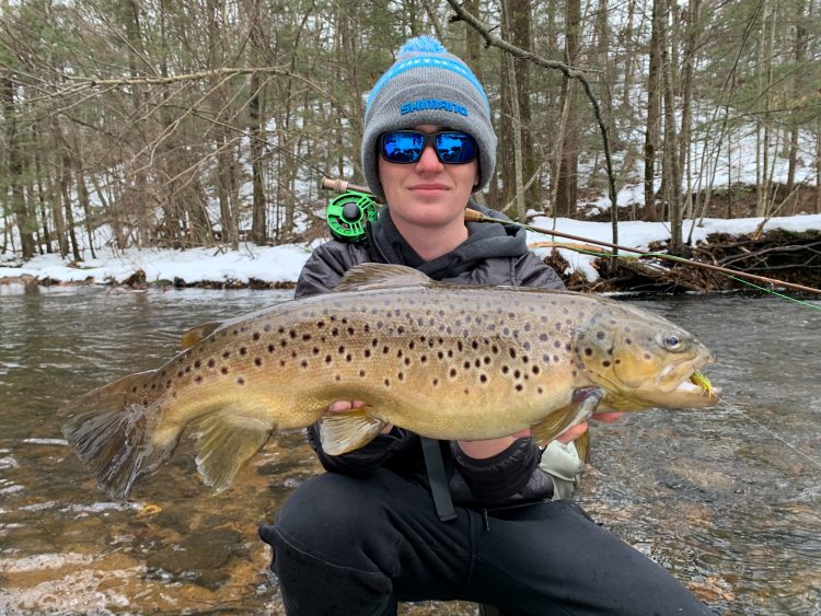Connecticut Brown Trout