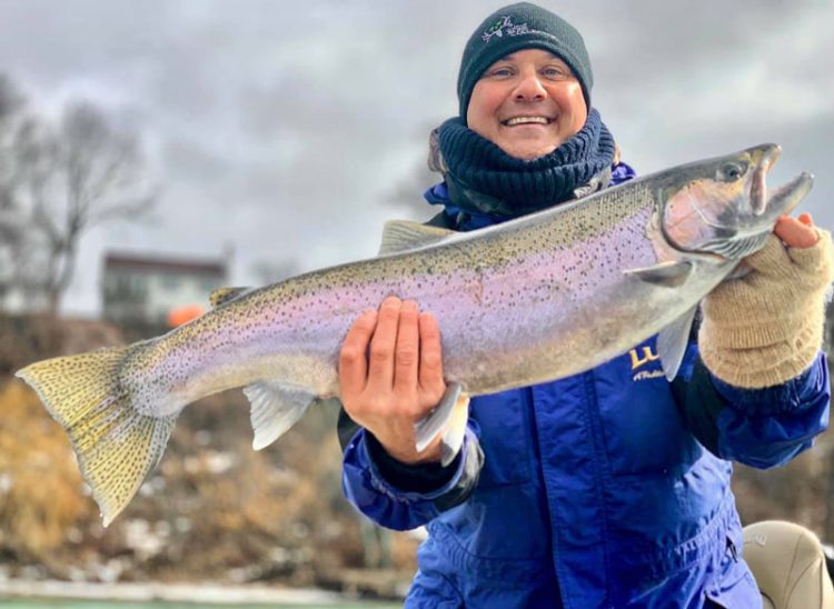 Matt Cipolletti steelhead