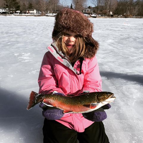 Connecticut Trout