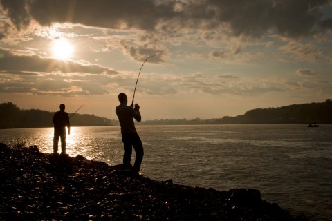 Man fishing from shore