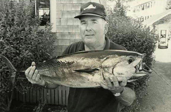 Massachusetts false albacore record