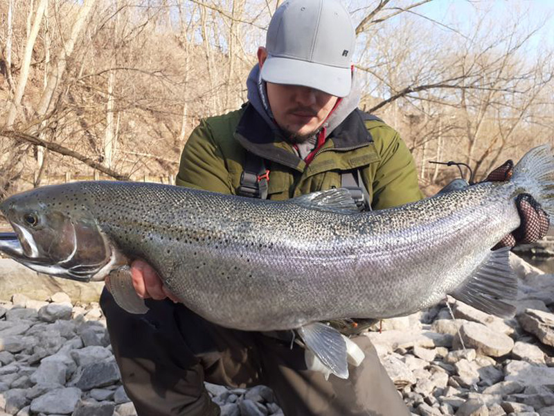 Shawn West steelhead