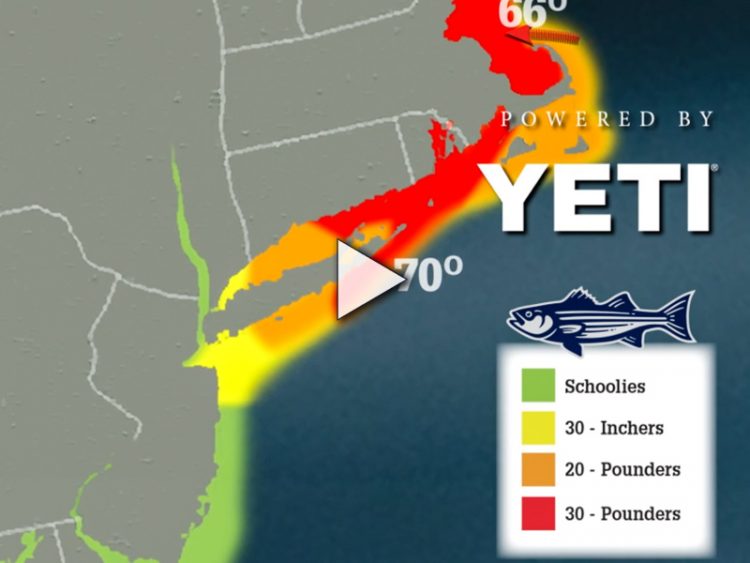 Striper Migration Map