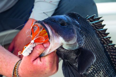 Ocean Born’s Swimming Bucktail