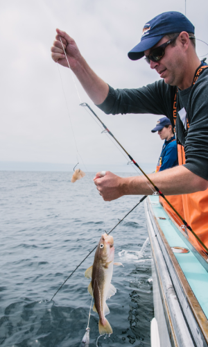 Photo Credit: Massachusetts Division of Marine Fisheries