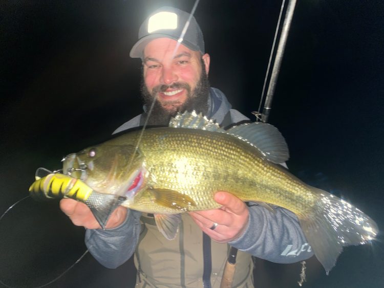 Cape Cod Largemouth Bass