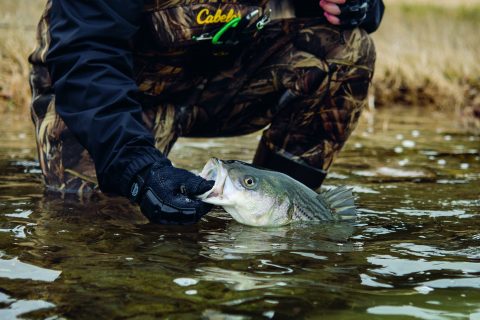 Fishing for Holdover Stripers on Long Island