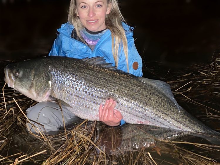 Long Island 52 Inch Striped Bass