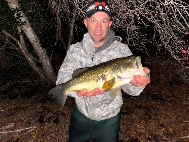 Cape Cod Largemouth Bass