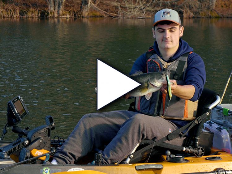 Cape Cod Largemouth Bass