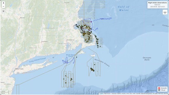 NOAA Right Whales Map (1)