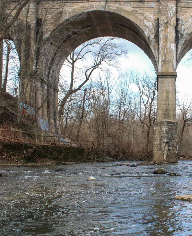 Philly Fly Fishing