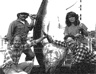 Massachusetts bluefin tuna record