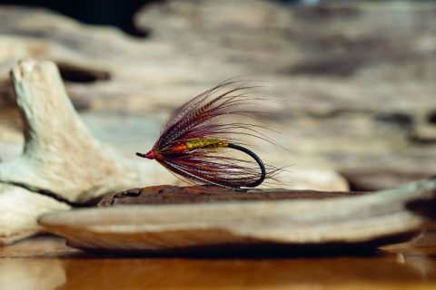 Skrat Spey Fly