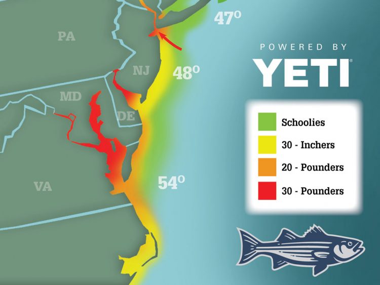 Striper Migration 04-16
