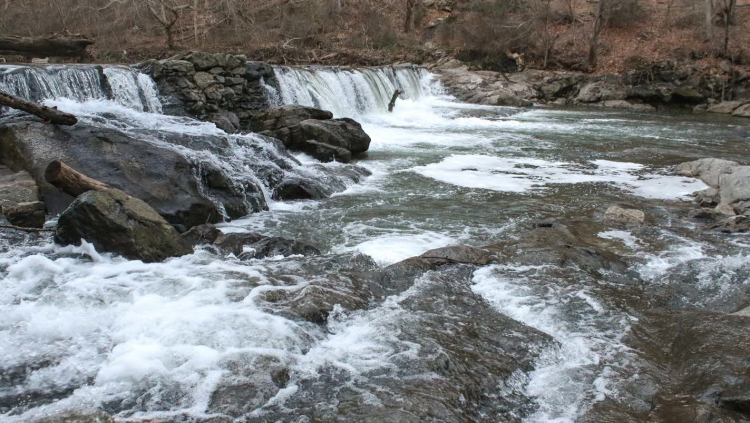 Wissahickon Creek Waterfall