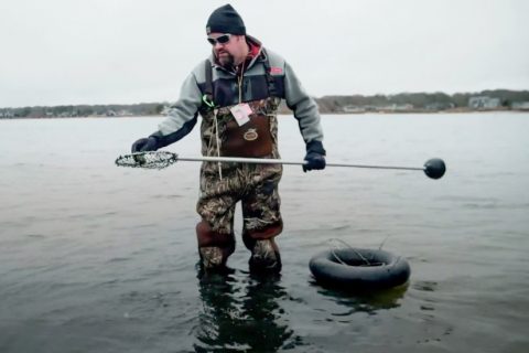 Gathering Steamer Clams