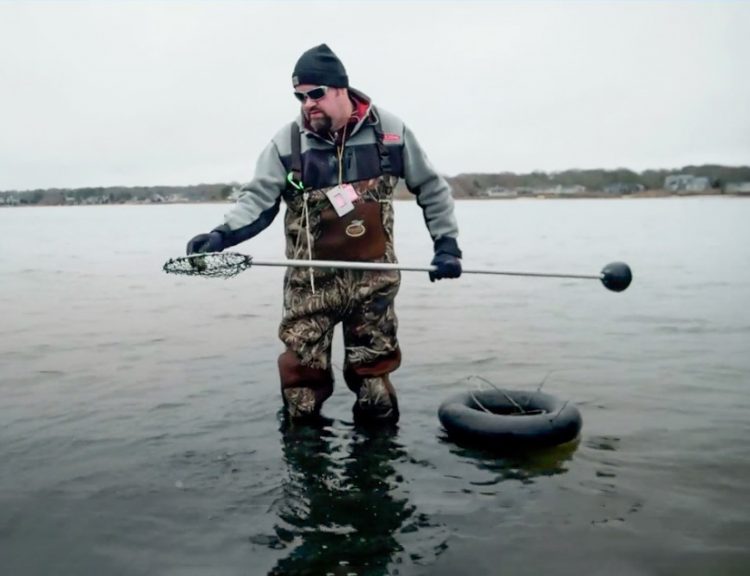Gathering Steamer Clams