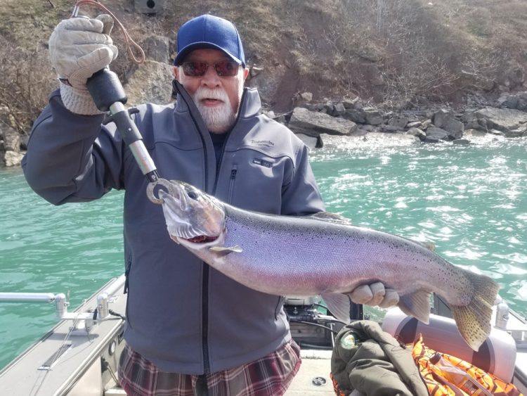 Dave Carter steelhead