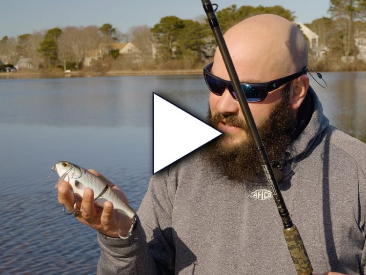 FishLab Bio-Shad Wake Bait