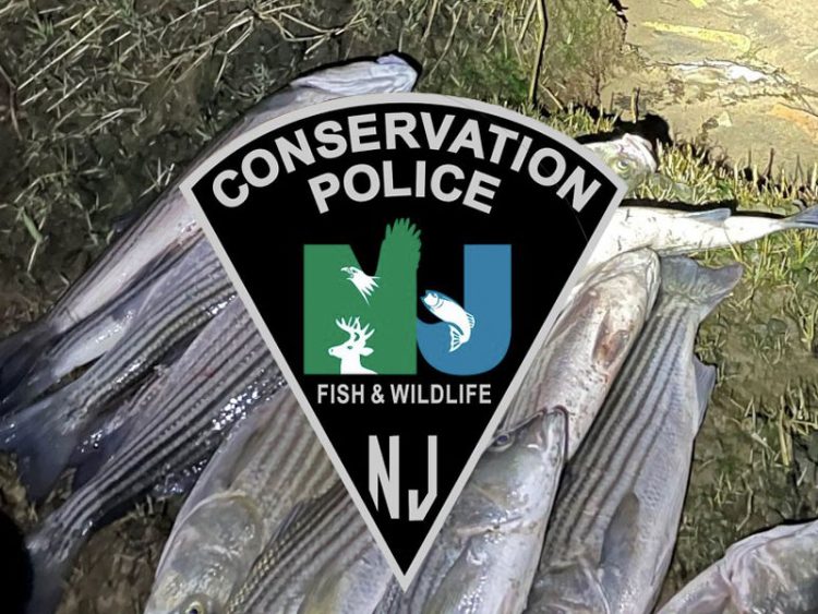 NJ Conservation Police striper bust