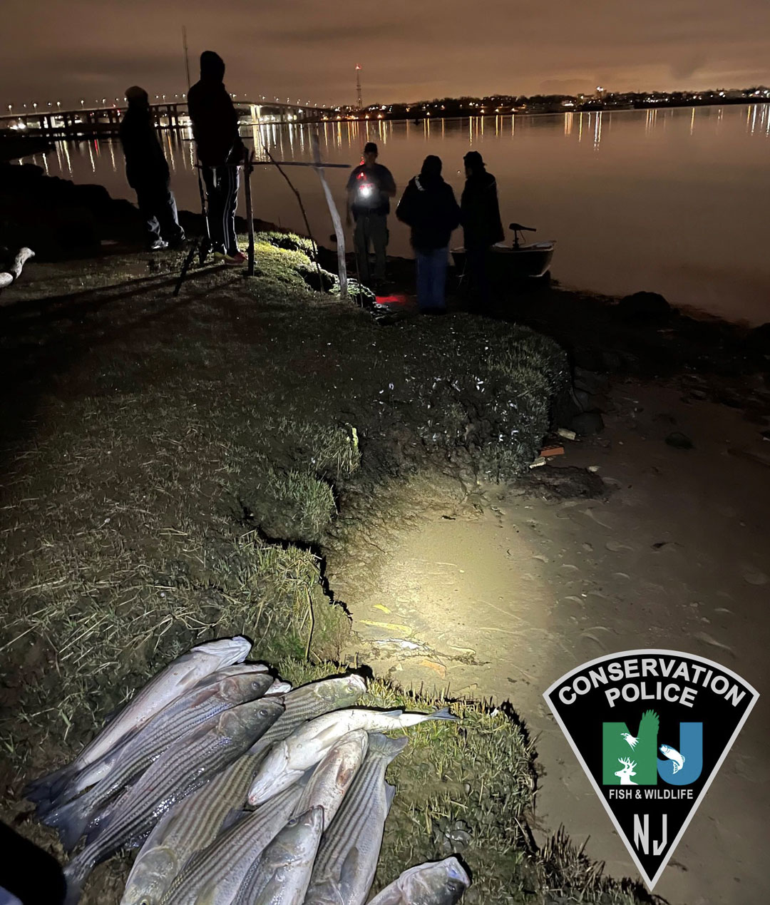 NJ Conservation Police striper bust