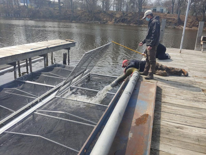 Oak Orchard River stocking pens