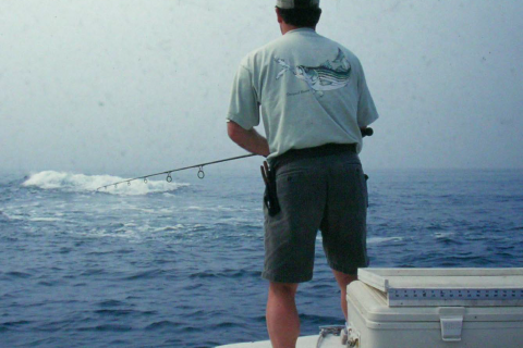 Striped Bass Boat Fishing