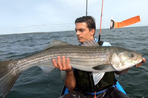 Striper Kayak Fishing