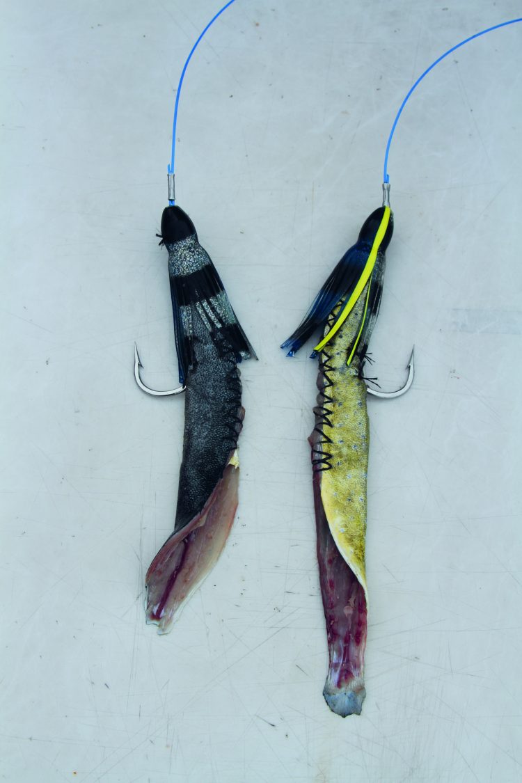 Panama Strip Swordfish Bait