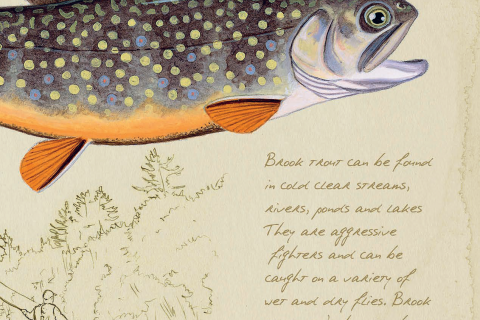 Angling Artist: Matt Patterson