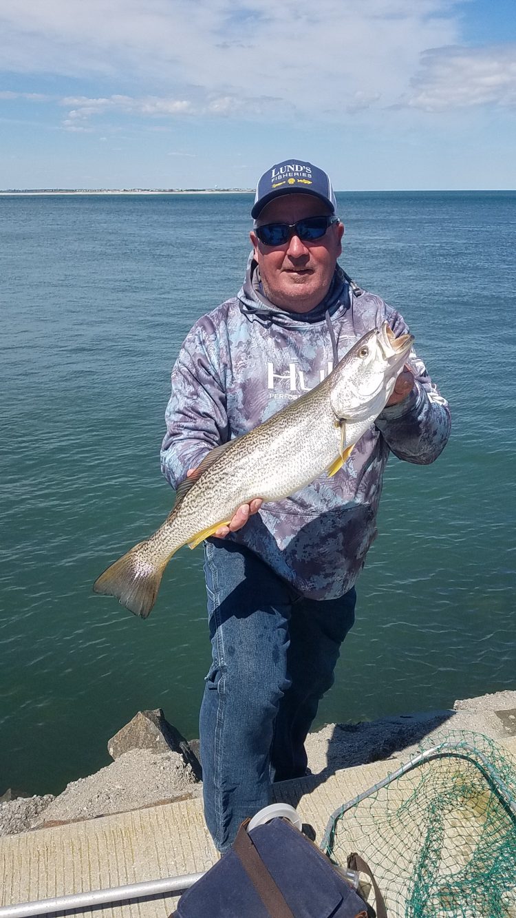 Weakfish
