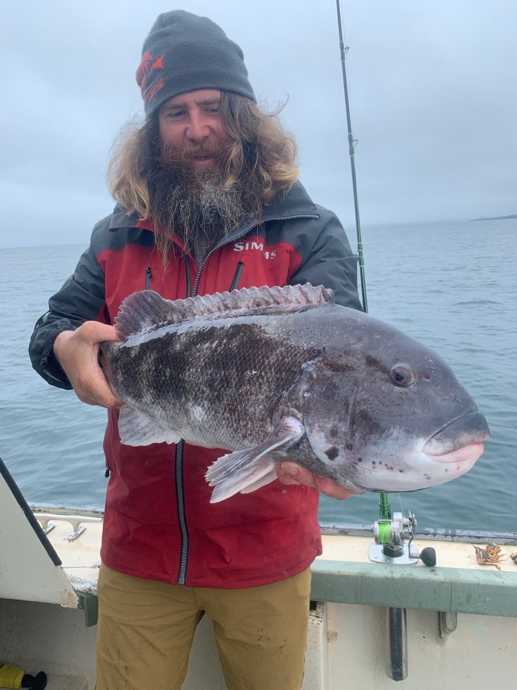 Tautog