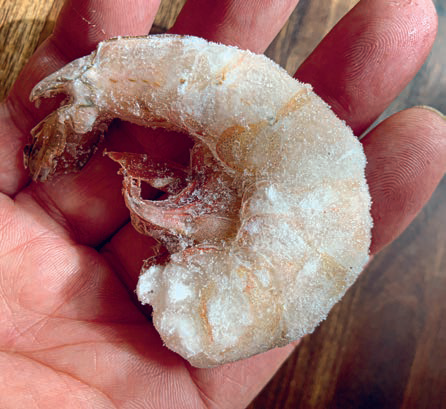 Short Weighing Shrimp