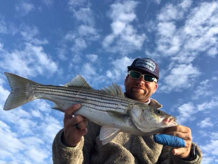 Coop's Maine striper