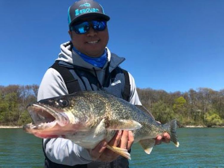 Gerry Benedicto walleye