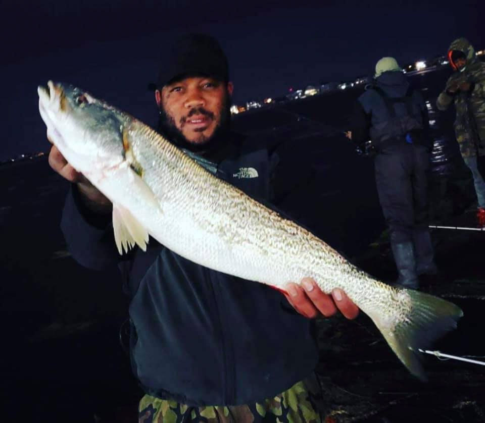 Jumbo weakfish