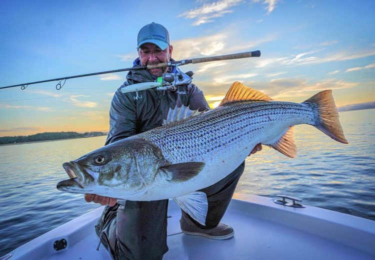 Jack Sprengel Shimano Coltsniper Splash Walk