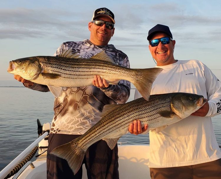 Joe Diorio Doc Striper