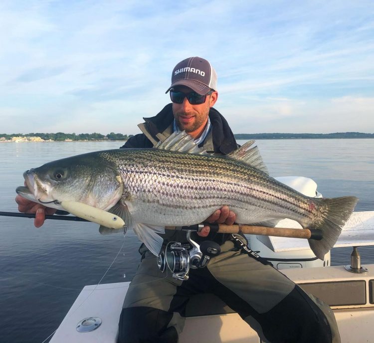 Mike Roy Striper
