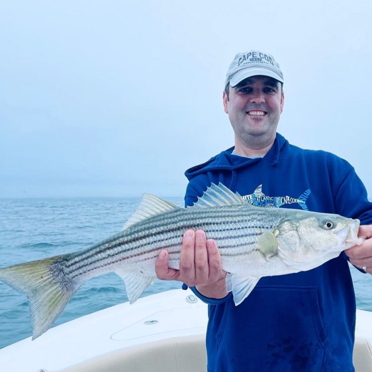 Cape Cod Charter Guys Striper